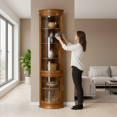 Classic wardrobe bookcase bookshelf display cabinet glass cabinet