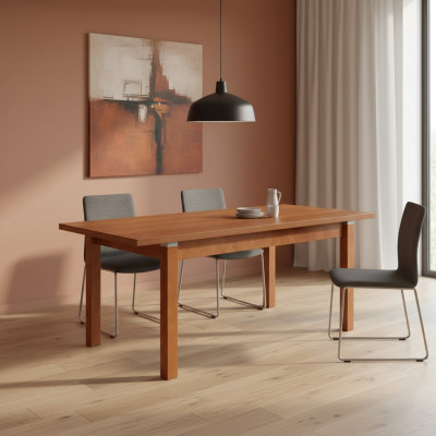 Table Dining Table Wood Table XXL Conference Table S18-L-S 90X160cm Extendable